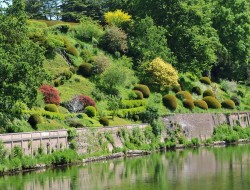 The Weir Garden