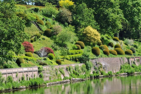 The Weir Garden