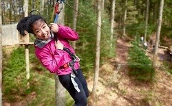 Things to do including Zipwire at Aberfoyle Things to do including Zipwire at Aberfoyle