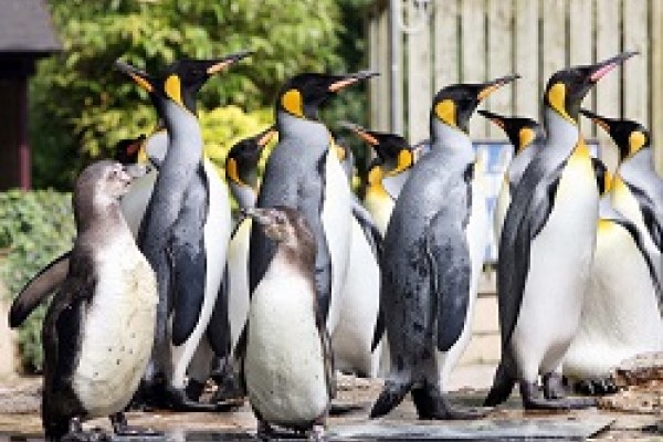 Things to do Bourton on the Water