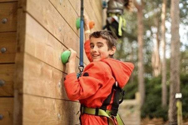 HAVE A GO DAY IN THE NEW FOREST!