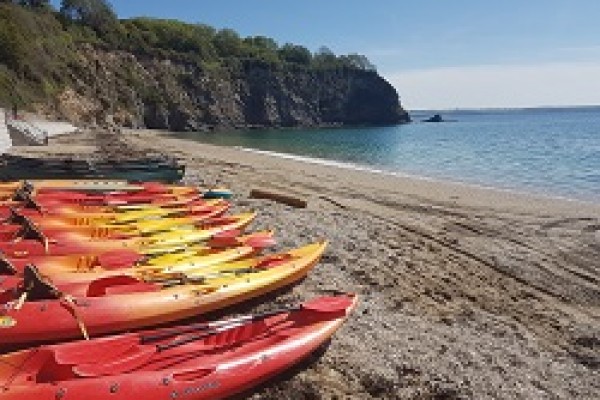 Things to do near St Austell
