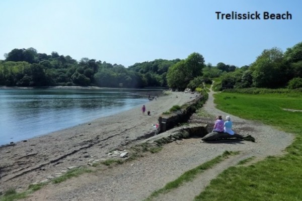 Trelissick Gardens and Walks - National Trust