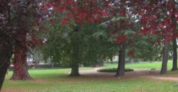 Victoria Park, Salisbury