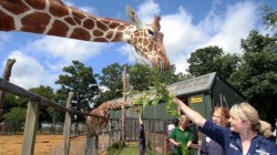 Animal encounters at Whipsnade Zoo Dunstable