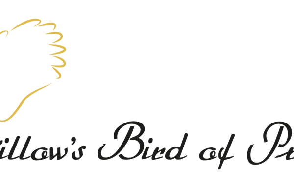 Get close to magnificent birds of prey!