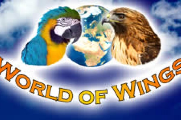 World of Wings