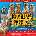 Drusillas Park 
