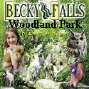 Becky Falls Kids Days out