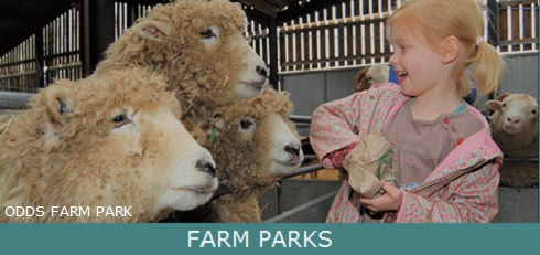 Farm Parks around the UK