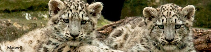 Zoos near me zoos-near-me