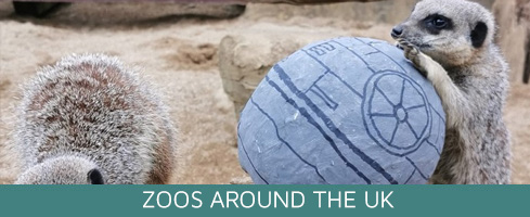 Zoos around the UK